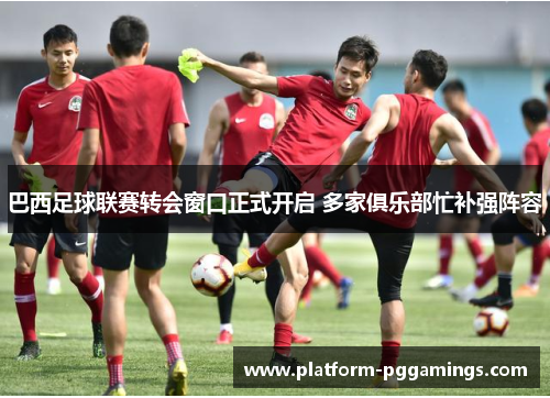 巴西足球联赛转会窗口正式开启 多家俱乐部忙补强阵容