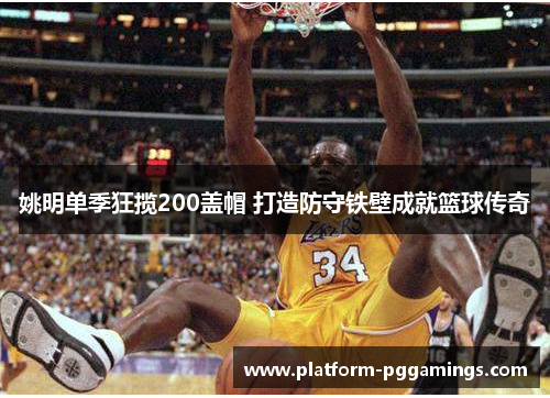 姚明单季狂揽200盖帽 打造防守铁壁成就篮球传奇