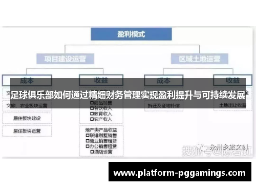 足球俱乐部如何通过精细财务管理实现盈利提升与可持续发展