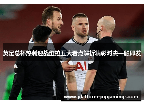 英足总杯热刺迎战维拉五大看点解析精彩对决一触即发