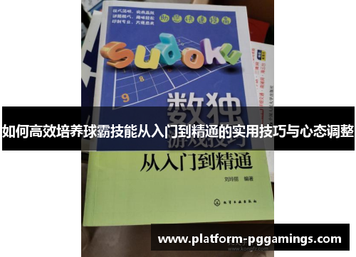 如何高效培养球霸技能从入门到精通的实用技巧与心态调整