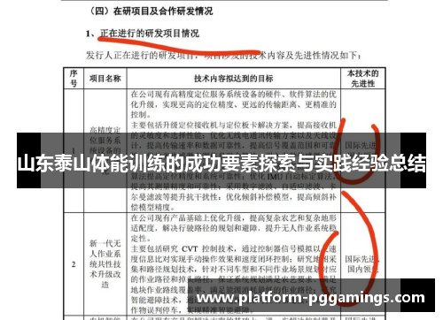 山东泰山体能训练的成功要素探索与实践经验总结