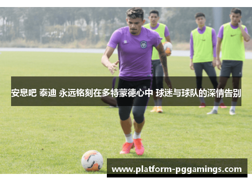 安息吧 泰迪 永远铭刻在多特蒙德心中 球迷与球队的深情告别