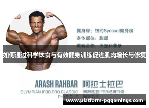 如何通过科学饮食与有效健身训练促进肌肉增长与修复