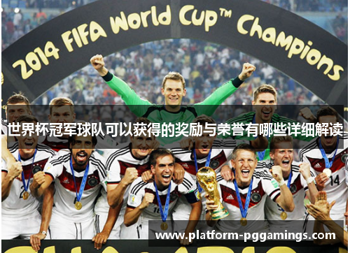 世界杯冠军球队可以获得的奖励与荣誉有哪些详细解读