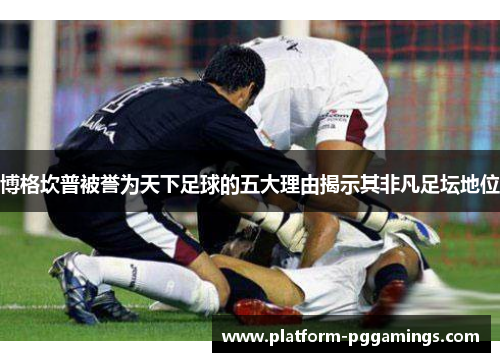 博格坎普被誉为天下足球的五大理由揭示其非凡足坛地位