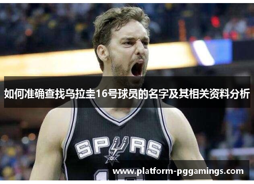 如何准确查找乌拉圭16号球员的名字及其相关资料分析